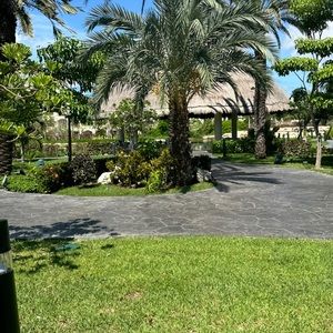 Meet your Posher, Sadie